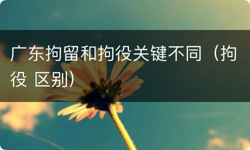 广东拘留和拘役关键不同（拘役 区别）