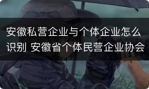 安徽私营企业与个体企业怎么识别 安徽省个体民营企业协会官网