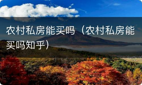 农村私房能买吗（农村私房能买吗知乎）