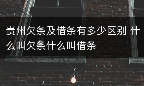 贵州欠条及借条有多少区别 什么叫欠条什么叫借条