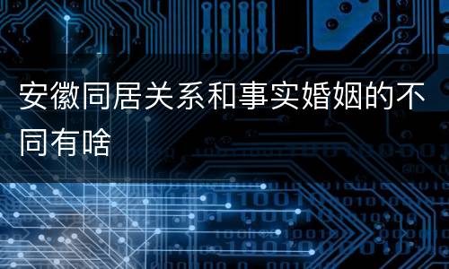 安徽同居关系和事实婚姻的不同有啥