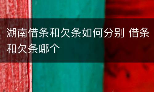 湖南借条和欠条如何分别 借条和欠条哪个
