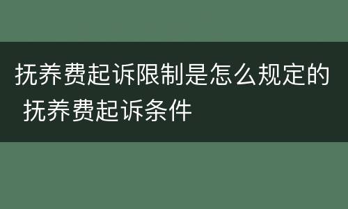 抚养费起诉限制是怎么规定的 抚养费起诉条件