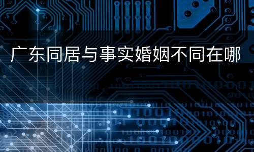 广东同居与事实婚姻不同在哪