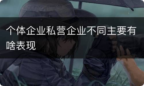 个体企业私营企业不同主要有啥表现