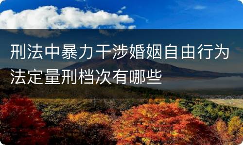 刑法中暴力干涉婚姻自由行为法定量刑档次有哪些