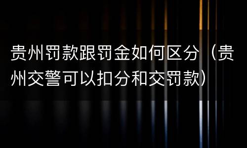 贵州罚款跟罚金如何区分（贵州交警可以扣分和交罚款）