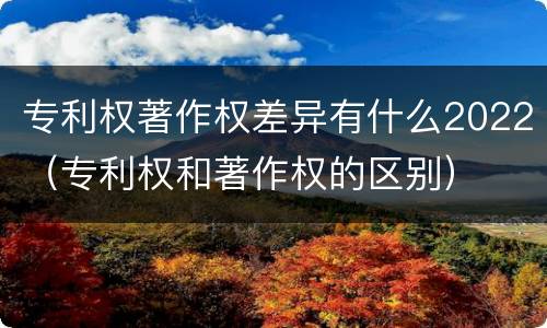 专利权著作权差异有什么2022（专利权和著作权的区别）