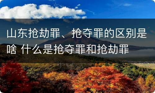 山东抢劫罪、抢夺罪的区别是啥 什么是抢夺罪和抢劫罪
