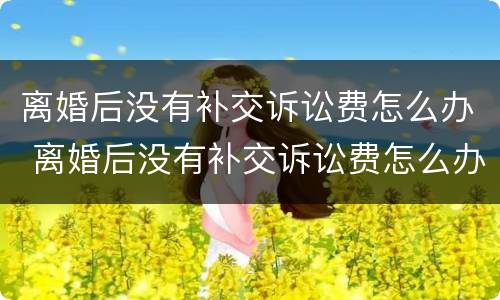 离婚后没有补交诉讼费怎么办 离婚后没有补交诉讼费怎么办呢