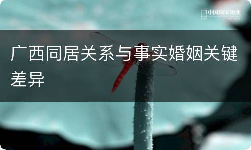 广西同居关系与事实婚姻关键差异