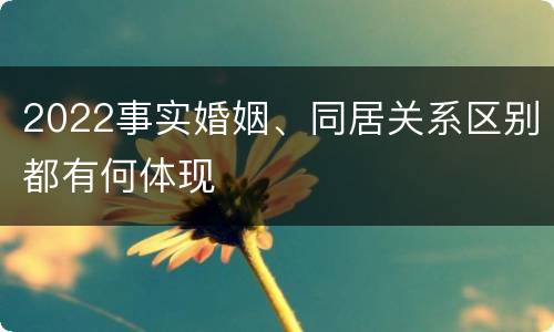 2022事实婚姻、同居关系区别都有何体现