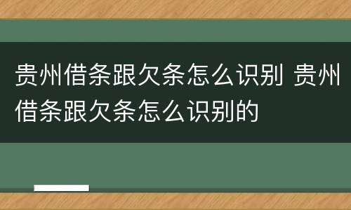 贵州借条跟欠条怎么识别 贵州借条跟欠条怎么识别的