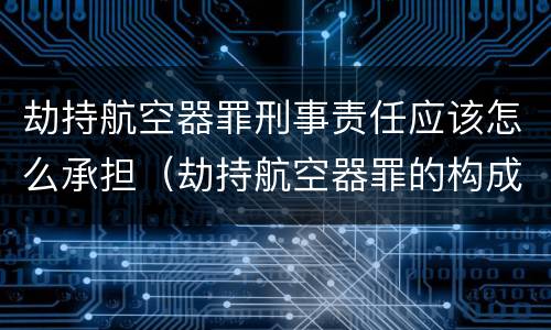 劫持航空器罪刑事责任应该怎么承担（劫持航空器罪的构成要件）