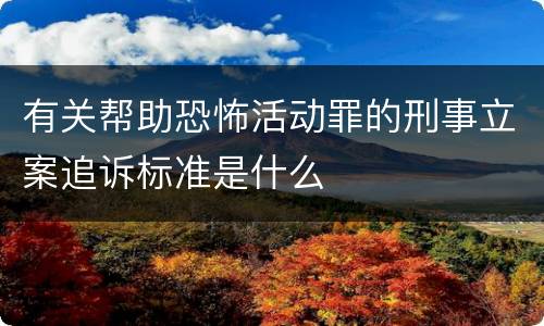 有关帮助恐怖活动罪的刑事立案追诉标准是什么