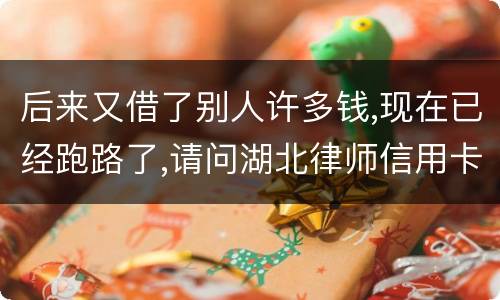后来又借了别人许多钱,现在已经跑路了,请问湖北律师信用卡借钱不还会怎样呢