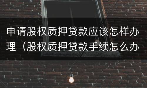 申请股权质押贷款应该怎样办理（股权质押贷款手续怎么办理）