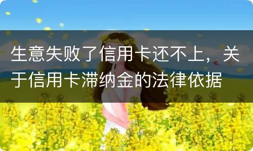生意失败了信用卡还不上，关于信用卡滞纳金的法律依据