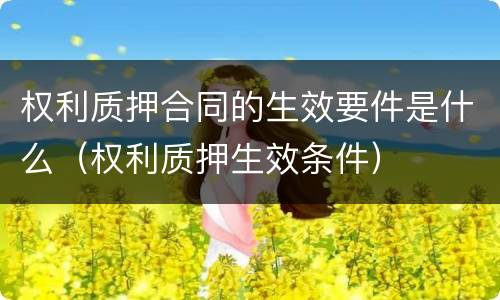 权利质押合同的生效要件是什么（权利质押生效条件）