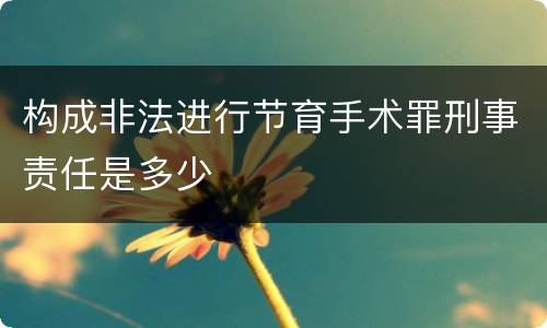 构成非法进行节育手术罪刑事责任是多少