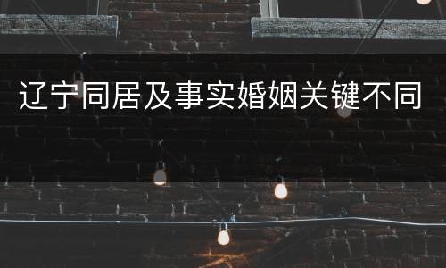 辽宁同居及事实婚姻关键不同