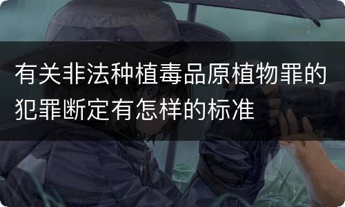 有关非法种植毒品原植物罪的犯罪断定有怎样的标准