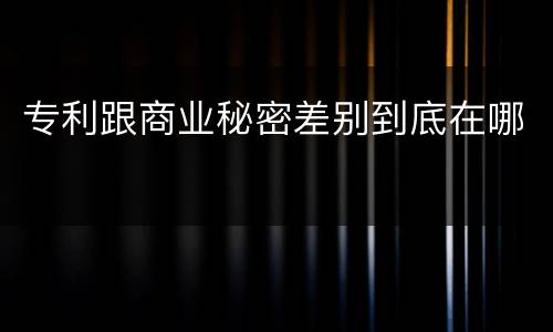 专利跟商业秘密差别到底在哪