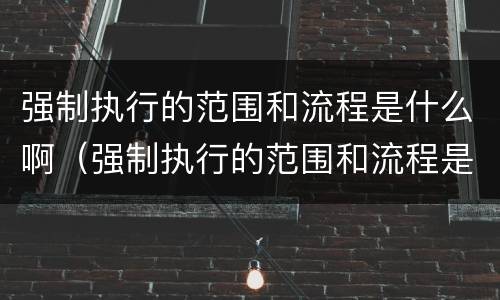 强制执行的范围和流程是什么啊（强制执行的范围和流程是什么啊）