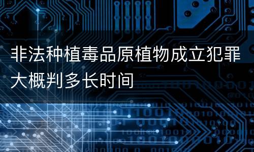 非法种植毒品原植物成立犯罪大概判多长时间