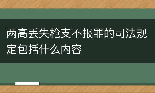 两高丢失枪支不报罪的司法规定包括什么内容
