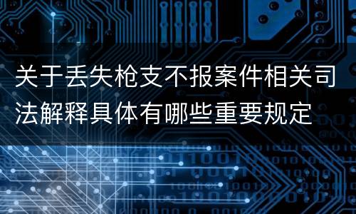 关于丢失枪支不报案件相关司法解释具体有哪些重要规定