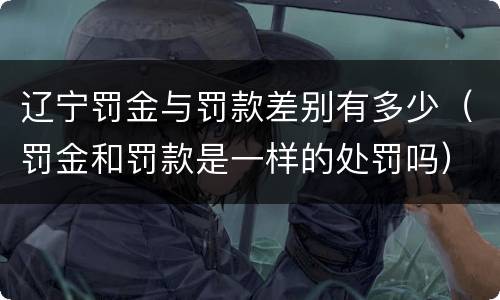 辽宁罚金与罚款差别有多少（罚金和罚款是一样的处罚吗）