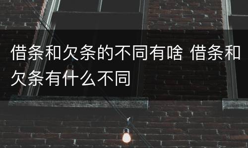 借条和欠条的不同有啥 借条和欠条有什么不同