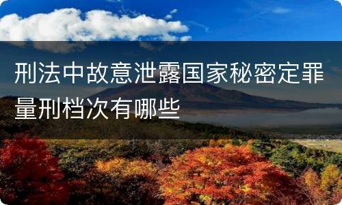 刑法中故意泄露国家秘密定罪量刑档次有哪些