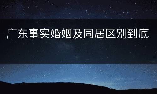 广东事实婚姻及同居区别到底