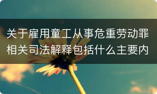 关于雇用童工从事危重劳动罪相关司法解释包括什么主要内容