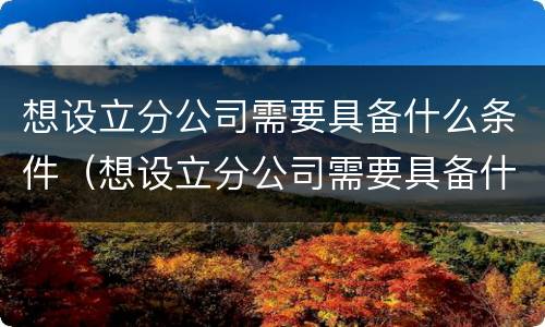 想设立分公司需要具备什么条件（想设立分公司需要具备什么条件呢）