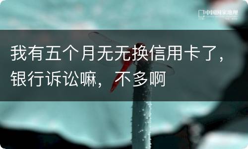 我有五个月无无换信用卡了，银行诉讼嘛，不多啊
