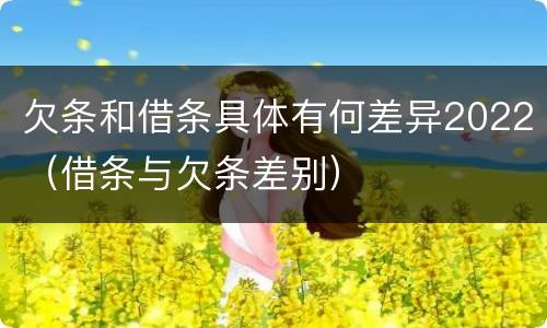 欠条和借条具体有何差异2022（借条与欠条差别）