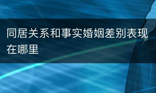 同居关系和事实婚姻差别表现在哪里