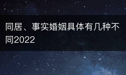 同居、事实婚姻具体有几种不同2022
