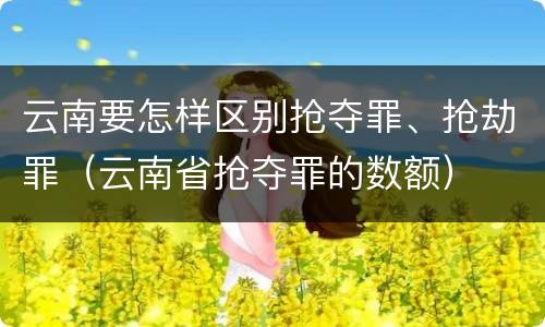 云南要怎样区别抢夺罪、抢劫罪（云南省抢夺罪的数额）