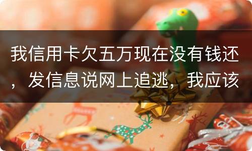我信用卡欠五万现在没有钱还，发信息说网上追逃，我应该怎么办