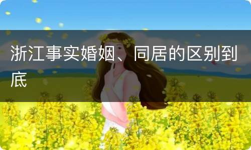 浙江事实婚姻、同居的区别到底