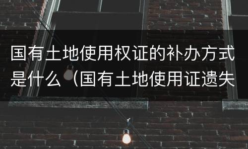 国有土地使用权证的补办方式是什么（国有土地使用证遗失如何补办）