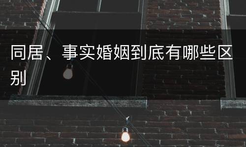 同居、事实婚姻到底有哪些区别