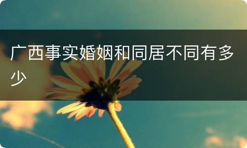 广西事实婚姻和同居不同有多少