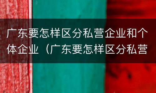 广东要怎样区分私营企业和个体企业（广东要怎样区分私营企业和个体企业呢）