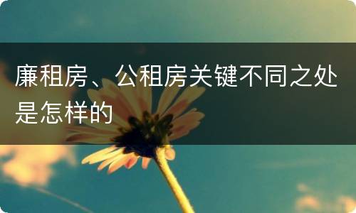 廉租房、公租房关键不同之处是怎样的