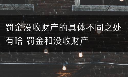 罚金没收财产的具体不同之处有啥 罚金和没收财产